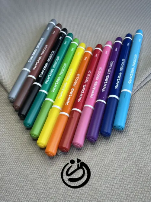 Papermate Pinsocolor